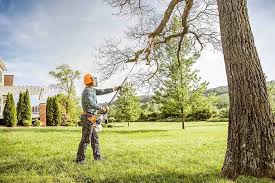 Reliable Winchester, KY  Tree Services Solutions